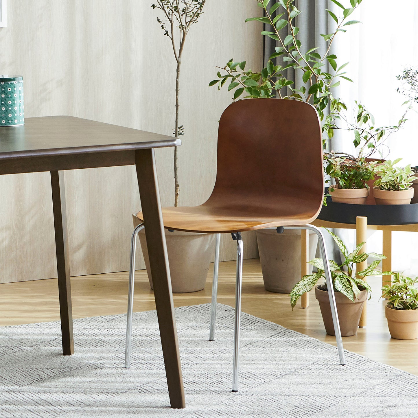 No.10 Dining Chairs Set of 2